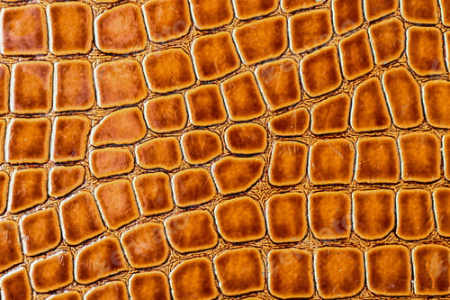 Preview: Old Crocodile Leather Texture, Background