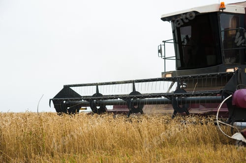 Preview: Combine Harvesters In A Field Of Wheat To Harvest