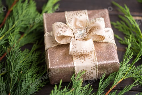 Preview: Festive Glittering Gift with Evergreen Branches