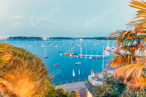 Preview: Boats In The Port, View From The Coastline With Trees And Ocean.