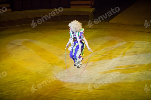 Preview: A Clown In A Circus