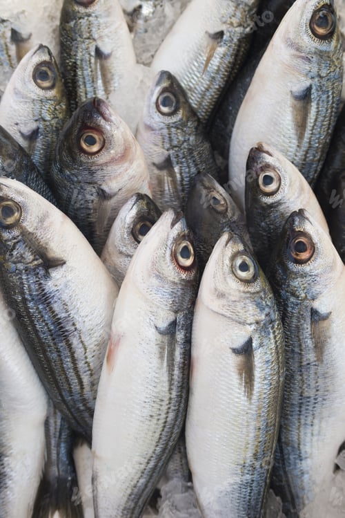 Preview: Various Fresh Fish And Seafood At The Fish Market