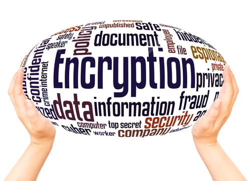 Preview: Encryption Word Cloud Hand Sphere Concept On White Background.