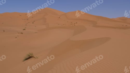 Preview: The Dunes Of Erg Chebbi In Morocco