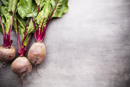 Preview: The New Beet Harvest. Still Life.