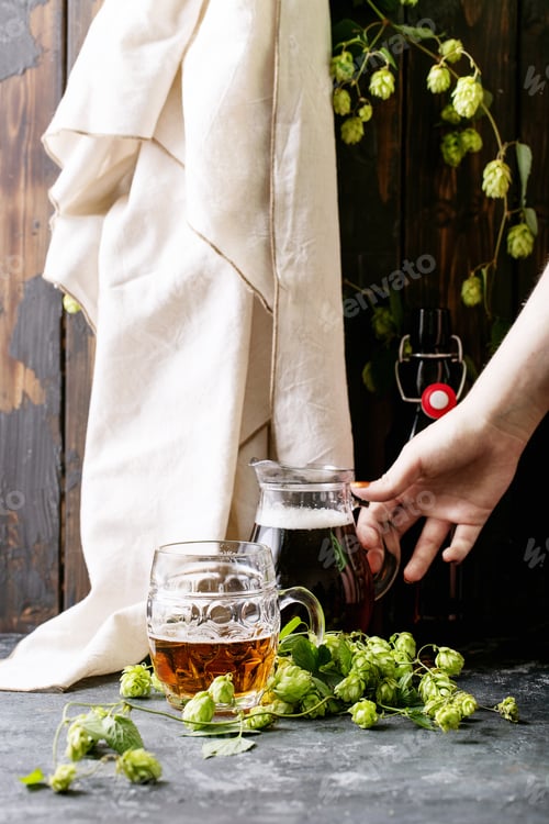 Preview: Beer In A Glass Mug With Green Fresh Hops Over Dark Texture Backgroun