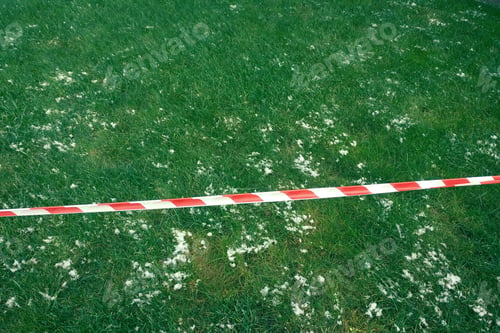 Preview: The First Snow On The Green Grass Is Tied With A Stop Sign Tape, Background