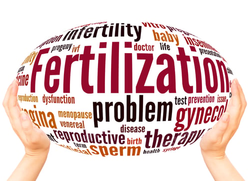 Preview: Fertilization Word Cloud Hand Sphere Concept On White Background.