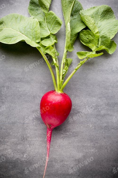 Preview: Radishes On The Grey Background. Still Life.