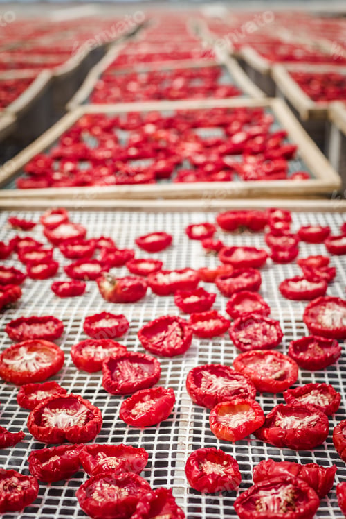 Preview: Delicious Pachino Tomatoes Drying At The Sun In A Huge Production In Sicly