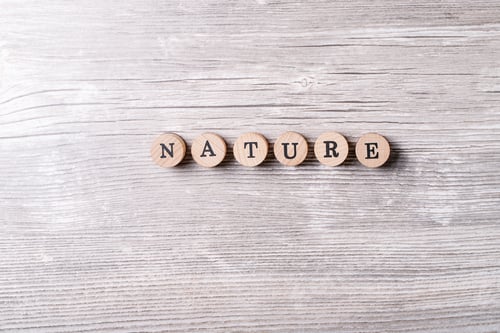 Preview: Word Nature Made From Wooden Letters Over Gray Wooden Background. Top View, Flat Lay. Copy Space