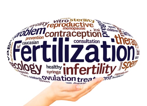 Preview: Fertilization Word Cloud Sphere Concept On White Background.