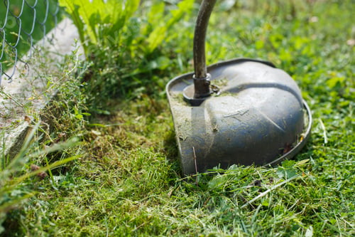 Preview: A Man Mows Grass With A Trimmer Outdoor