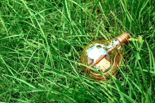 Preview: Light Bulb In Green Grass