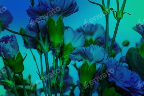 Preview: Arrangement Of Beautiful Pink Divine Flowers Blooming In Spring, Arranged In Vase. Orange Blossoms