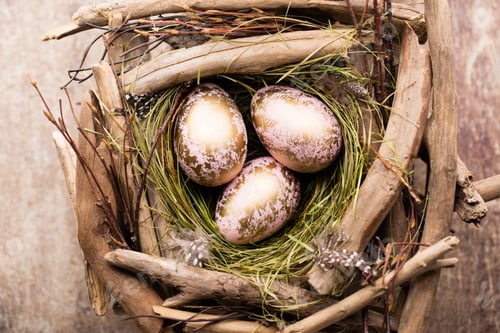 Preview: Easter Eggs In The Nest On Rustic Wooden Background