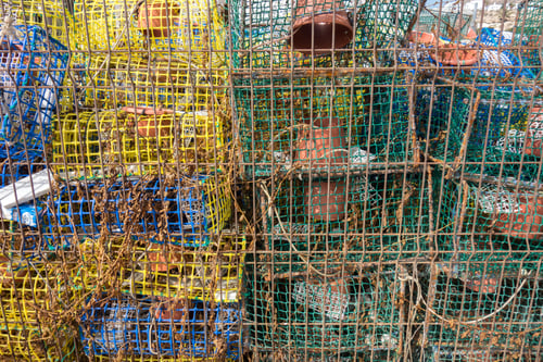 Preview: Stationary Traps Or Pots Fishing
