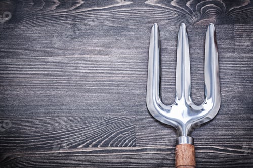 Preview: Gardening Trowel Fork On Wooden Board Agriculture Concept.