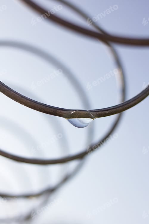 Preview: A Drop Of Dew In Early Light Fall.