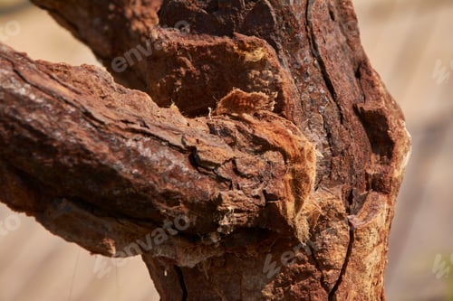 Preview: Detail Of A Iron Corroded By Rust