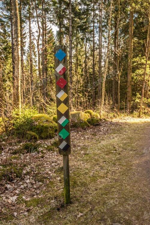 Preview: Colored Symbols Marking That Eight Different Walking Tracks Passes Down This Path