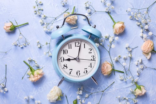 Preview: Blue Alarm Clock And Pattern From Fresh White Gypsofila And Rose Flowers On Blue Textured