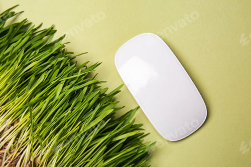 Preview: Green Grass With Computer Mouse On Color Background. Ecology Concept