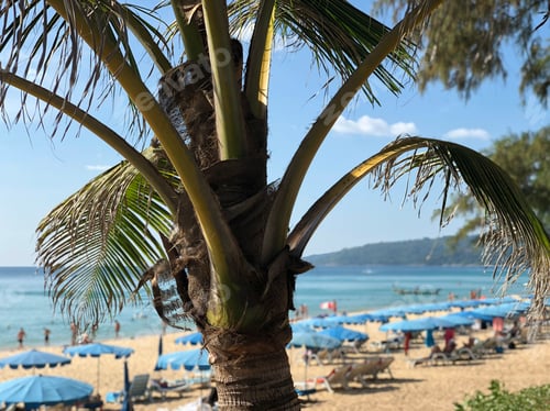 Preview: Karon Beach In Phuket Thailand