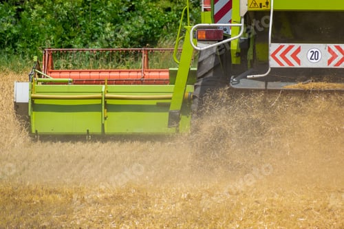 Preview: Harvester At Work On The Field Harvesting Ripe Wheat