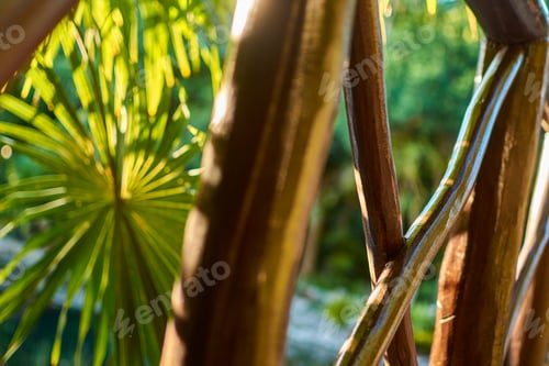 Preview: Detail Of A Wooden Bridge Crossing A Cenote In The Mayan Riviera In Mexico.