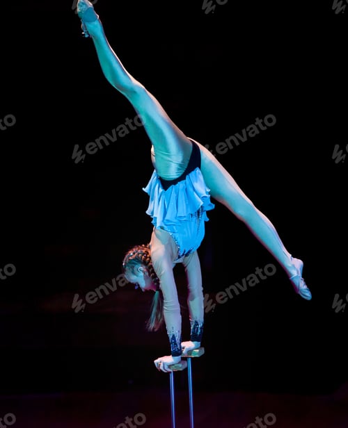 Preview: Performances Of A Gymnast In A Circus