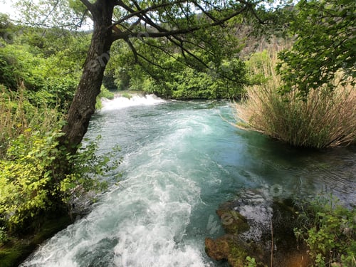 Preview: Stream Through Krka National Park Croatia