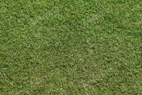 Preview: The Texture Of The Artificial Lawn