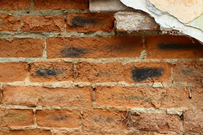 Damp Survey in Hammersmith