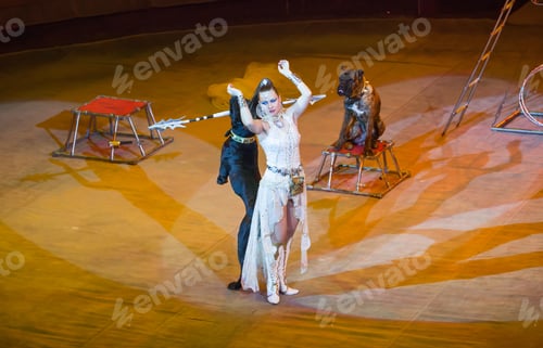 Preview: Dog Trainer In A Circus