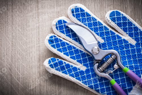 Preview: Steel Garden Pruner With Rubber Safety Gloves On Wooden Surface Agriculture Concept.