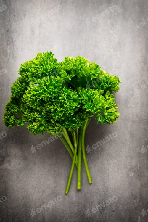 Preview: Green, Fresh Parsley On Gray Metal Surface.
