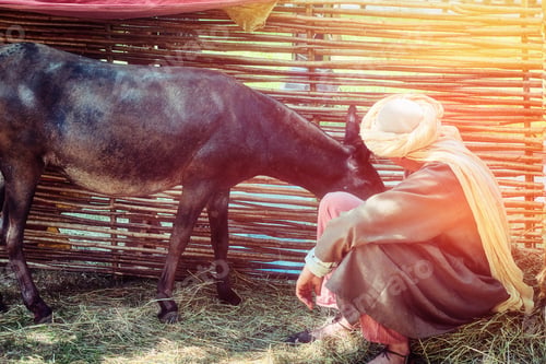 Preview: The Man In The Turban To Feed The Donkey In The Paddock. Muslim In National Clothes And Livestock