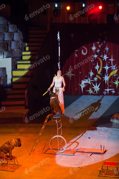 Preview: Dog Trainer In A Circus