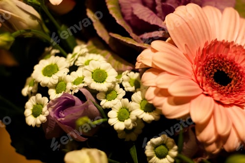 Preview: Flower Puget, Pink Gerberas, Blue Roses, Daisies On Abstract Dark Background