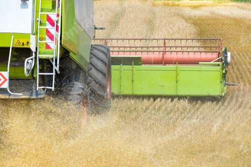 Preview: Harvester At Work On The Field Harvesting Ripe Wheat