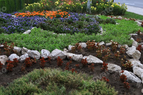Preview: A Beautiful City Flowerbed With Flowers. Using Green Technologies To Improve The Quality Of Life