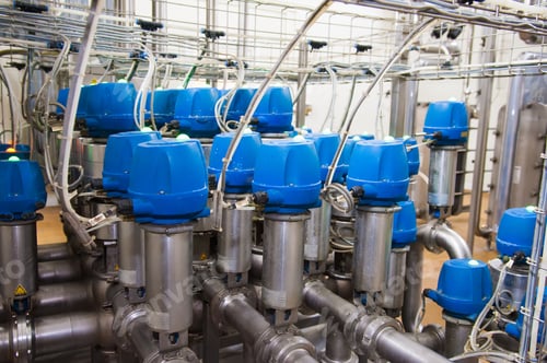 Preview: Industrial Production Of Hard Cheeses. Cheese Is Very Tasty And Healthy Product