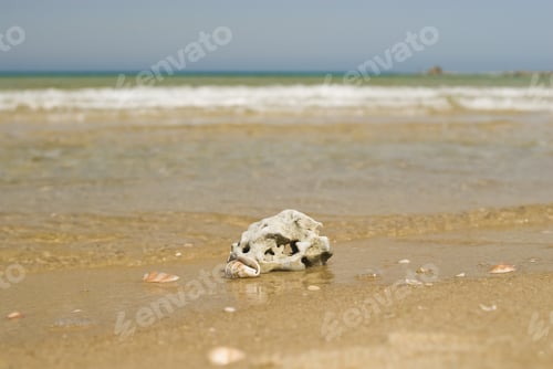 Preview: Stones On The Beach
