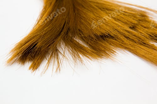 Preview: Brown Hair For Background.