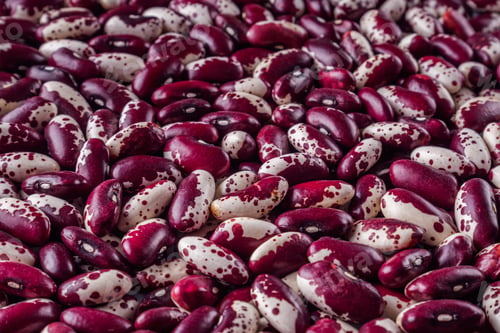 Preview: Fresh Organic Natural Beans On A White Background