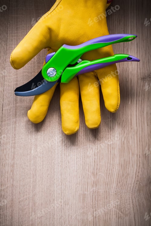 Preview: Leather Gardening Safety Glove With Secateurs On Wooden Board Agriculture Concept.