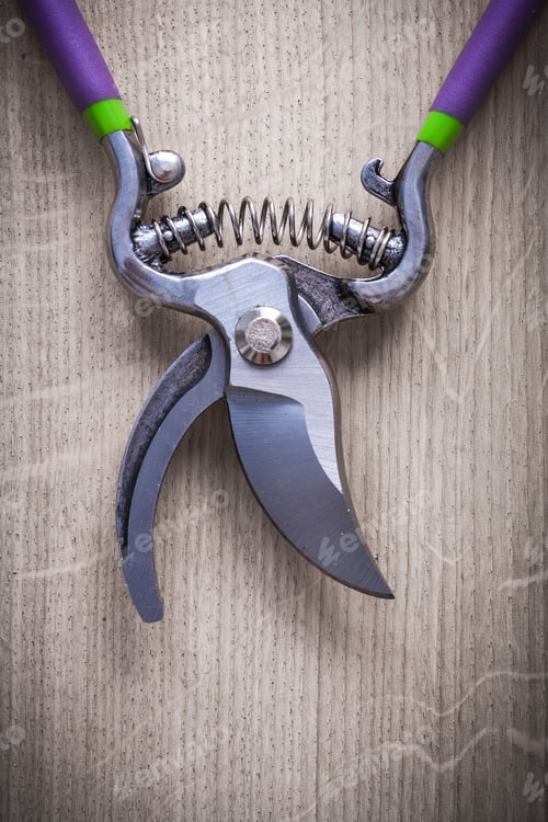 Preview: Sharp Metal Garden Pruner On Wooden Background Vertical Version Agriculture Concept.