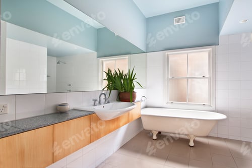Preview: Bathroom Of The Luxurious House