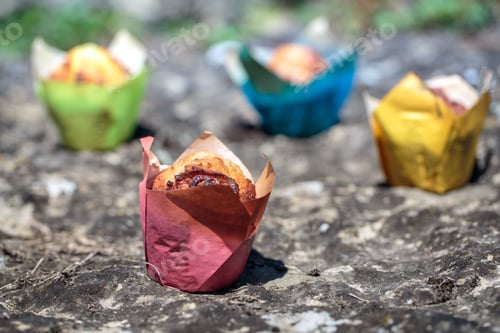 Preview: Colorful Muffins Displayed Outdoors in Natural Light